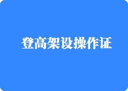 日本老妇插鸡巴登高架设操作证