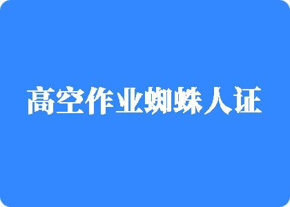 我我要日我要射我要干高空作业蜘蛛人证